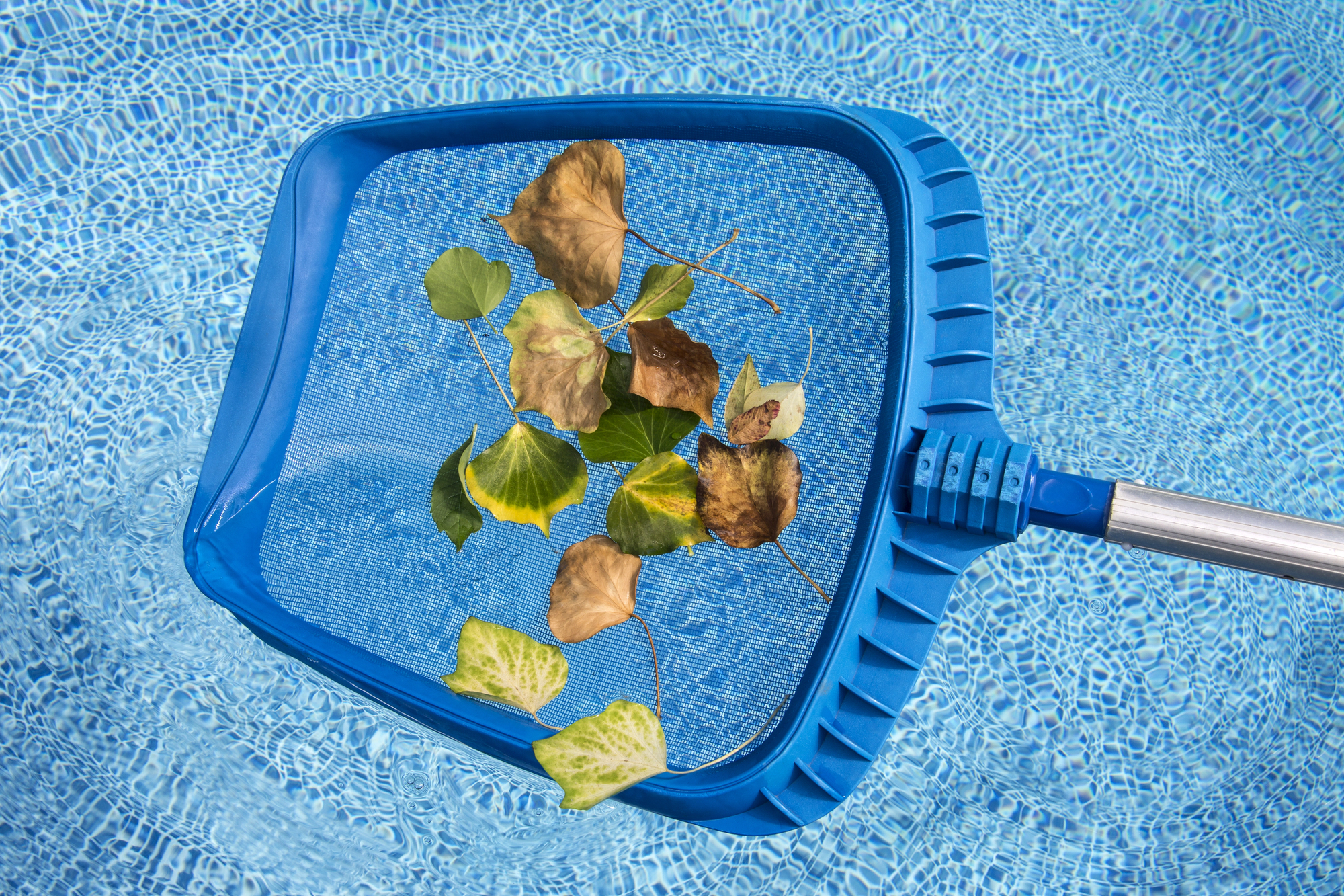 stock-image-379927808-L Swimming Pool